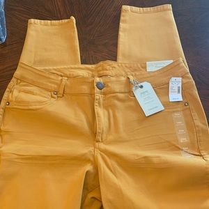 Mustard Gold Maurice’s jegging